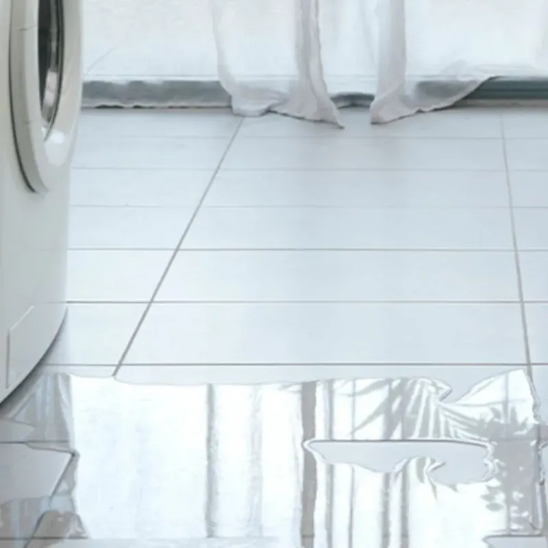Appliance Leak Cleanup in River Ridge, LA