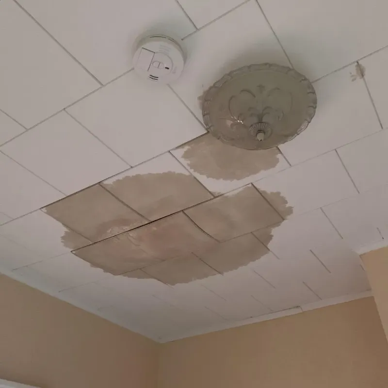 Ceiling Water Damage Repair in River Ridge, LA